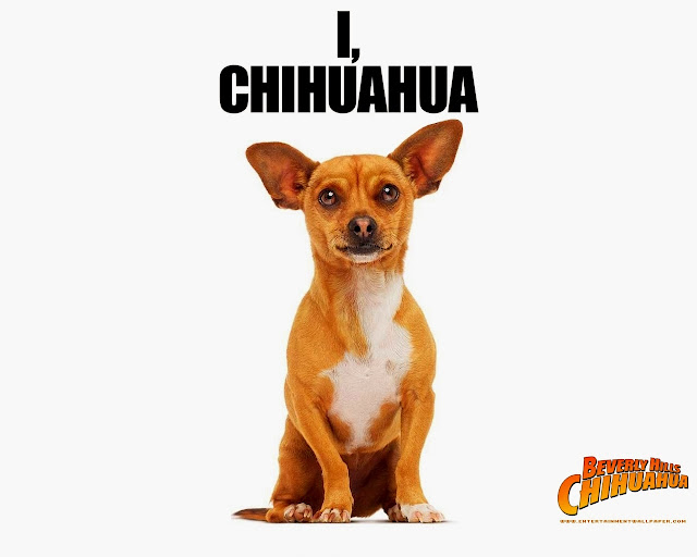 Beverly Hills Chihuahua animatedfilmreviews.filminspector.com