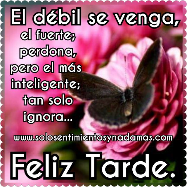 Feliz tarde.