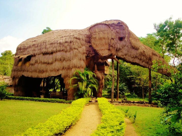 Resultado de imagen para Kumbuk River Resort (Parque Nacional Yala, Sri Lanka).