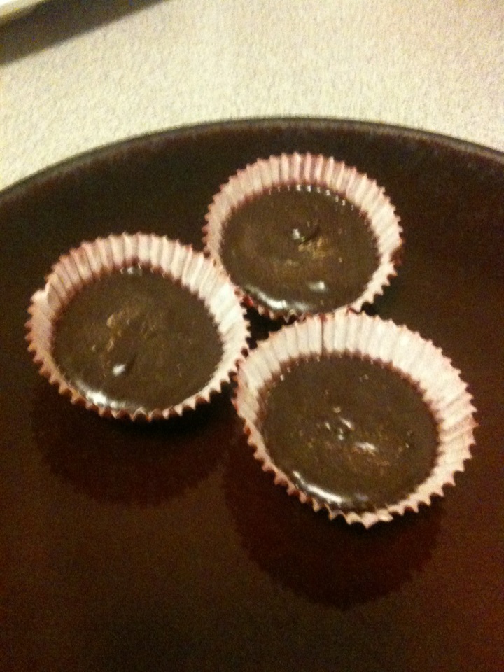 Wild Recipes Coconut Oil Chocolates