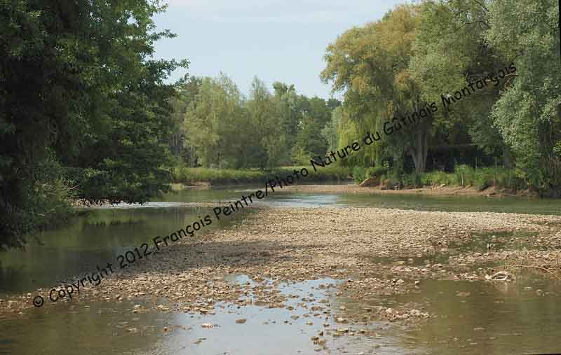 Le loing à sec en 2006