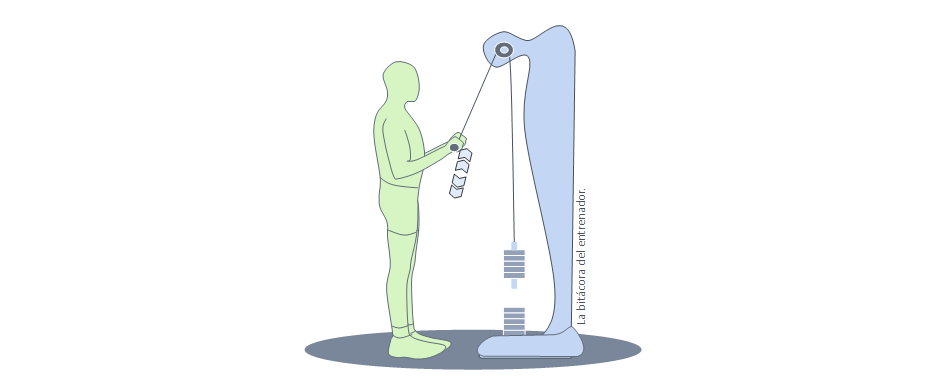 Polea ejercicio para triceps con