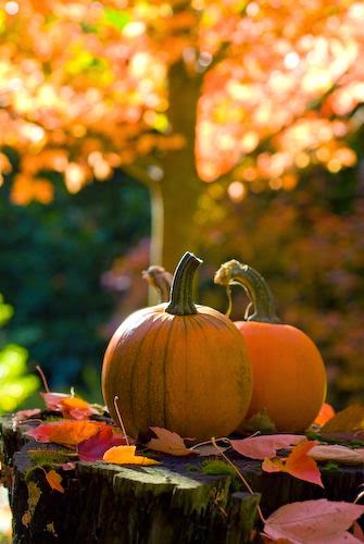 Crazy Little World Of Mine: October 2014