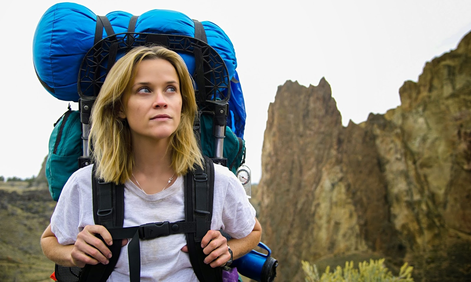 Wild - Una Storia Selvaggia Di Avventura E Rinascita