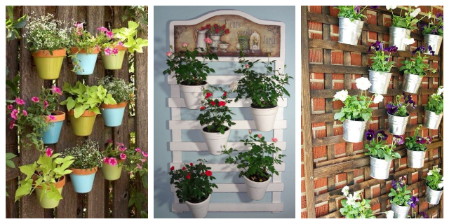 HANGING WALL PLANTERS IDEAS
