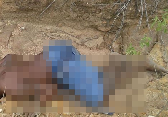 Jovem é encontrado morto entre  Macajuba e Baixa Grande