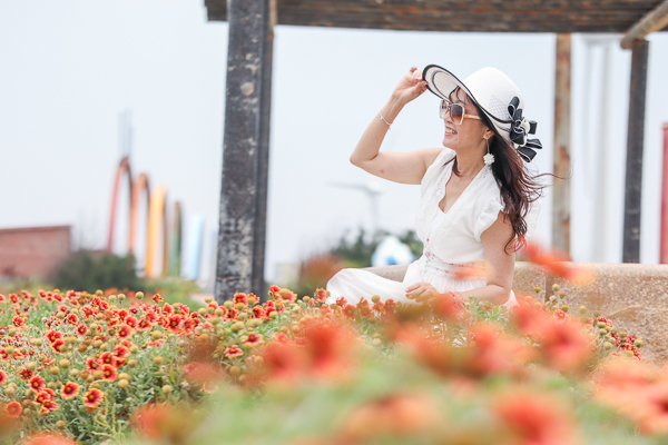 苗栗後龍海角樂園海邊賞天人菊、大風車、彩虹造景,美照好好拍 苗栗後龍海角樂園海邊賞天人菊、大風車、彩虹造景,美照好好拍