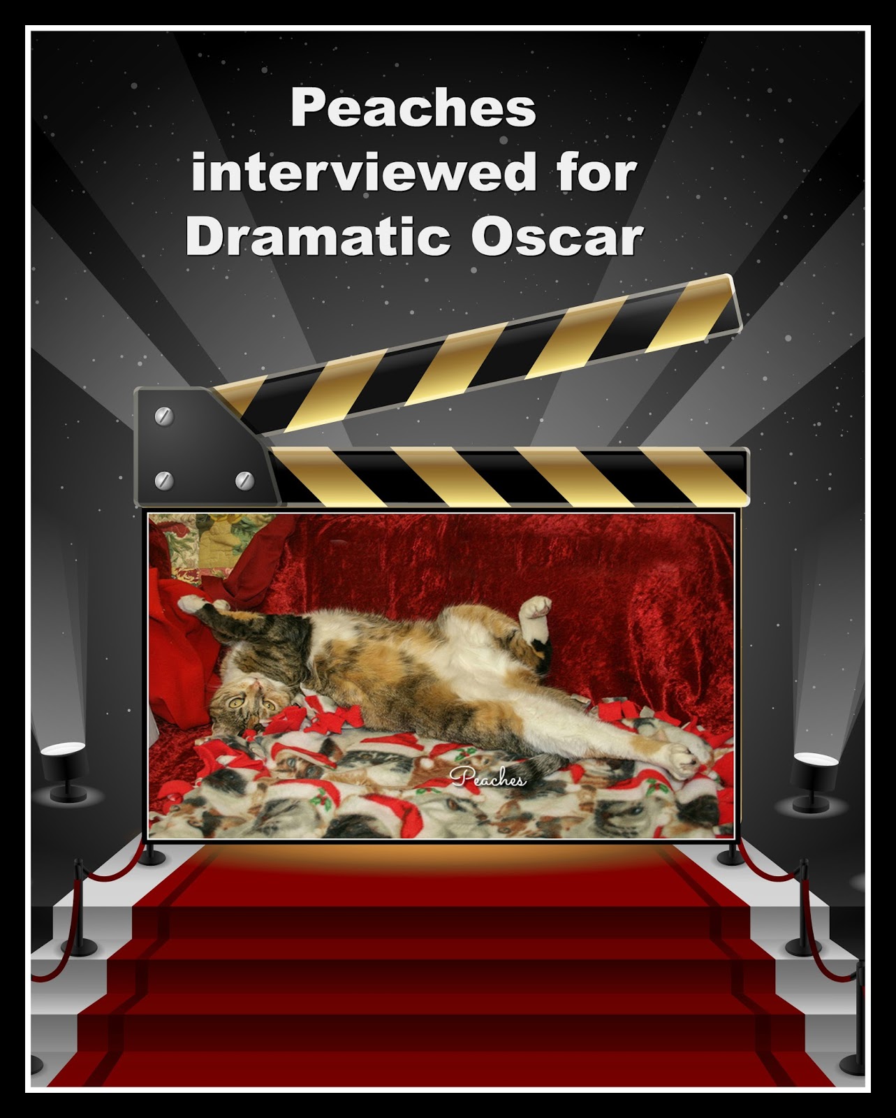 Peaches and Paprika Oscar (OsKAT) awards + 18 Amazing facts 'bout US