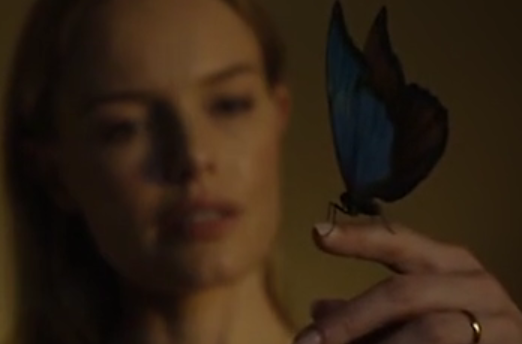 aksi wanita gila bersama anjing nya target=