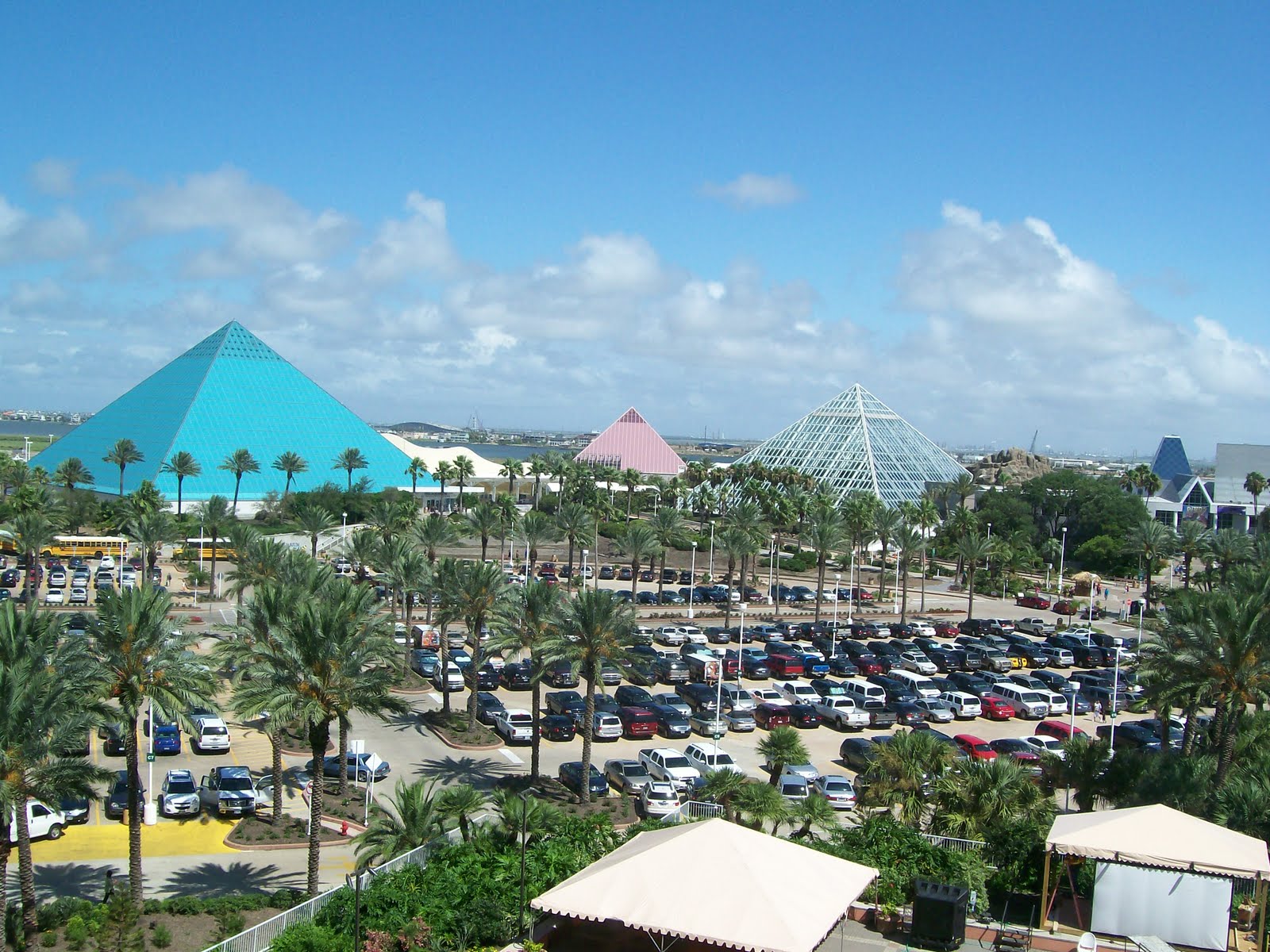 Rockhounding Around Galveston trip the Aquarium at Moody Gardens