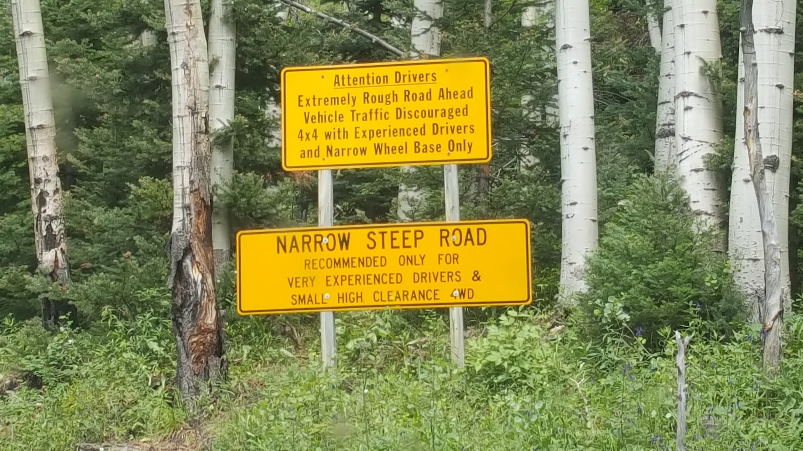 Carl's Jeeping Trips Lead King Basin