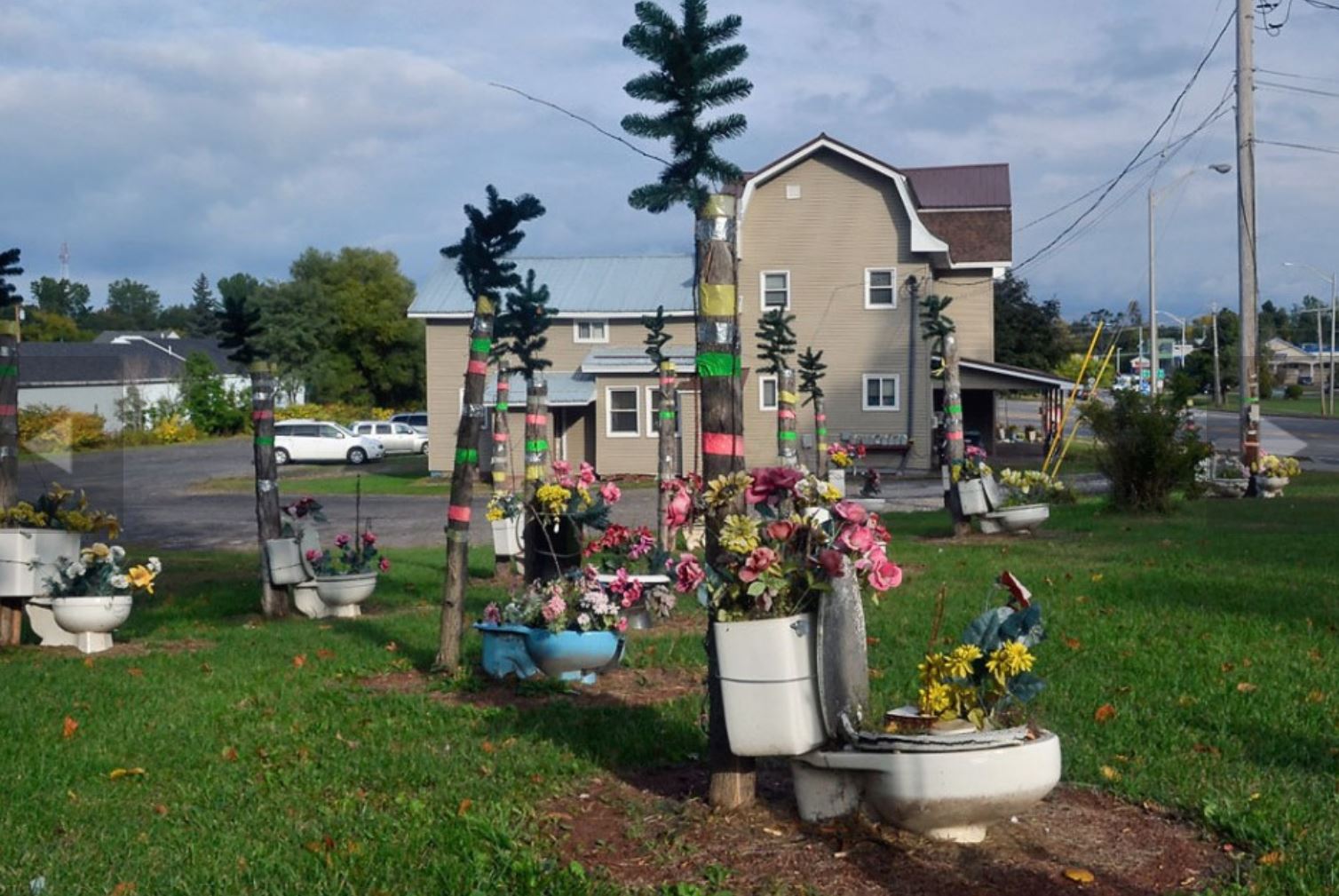 Thisoldtoilet Replacement Toilet Lids and Seats The Potsdam toilet