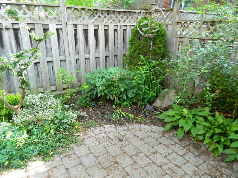 Kentucky Native Plant And Wildlife Plant Of The Week Catawba