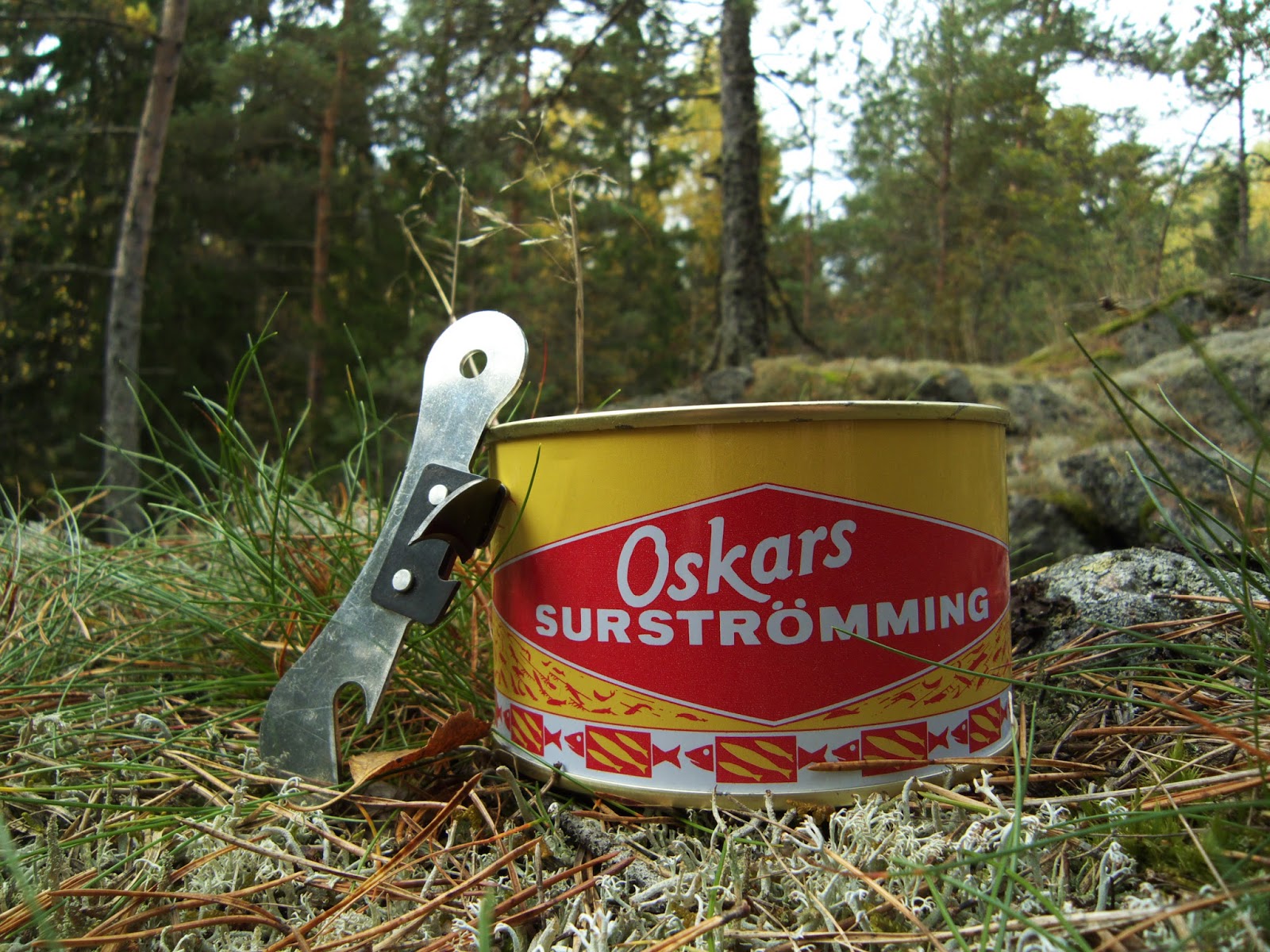 Bienvenue en Europe: Surströmming, une abomination culinaire