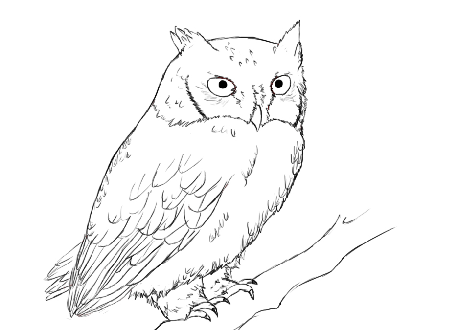 Easy Owl Drawings