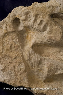 Nephilim Giants and their huge ancient footprints have set in stone.
