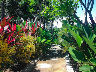 Garden Walkway Fully With Various Type Of Plants And Trees At Tangguwisia Village, North Bali, Indonesia