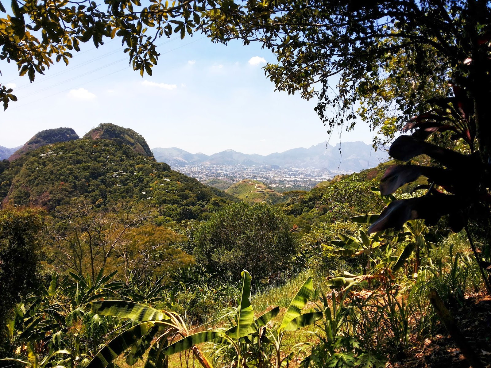 Meu Rio de Janeiro !!! Trilha do Morro do Quilombo Meu Rio de Janeiro !!! Trilha do Morro do Quilombo
