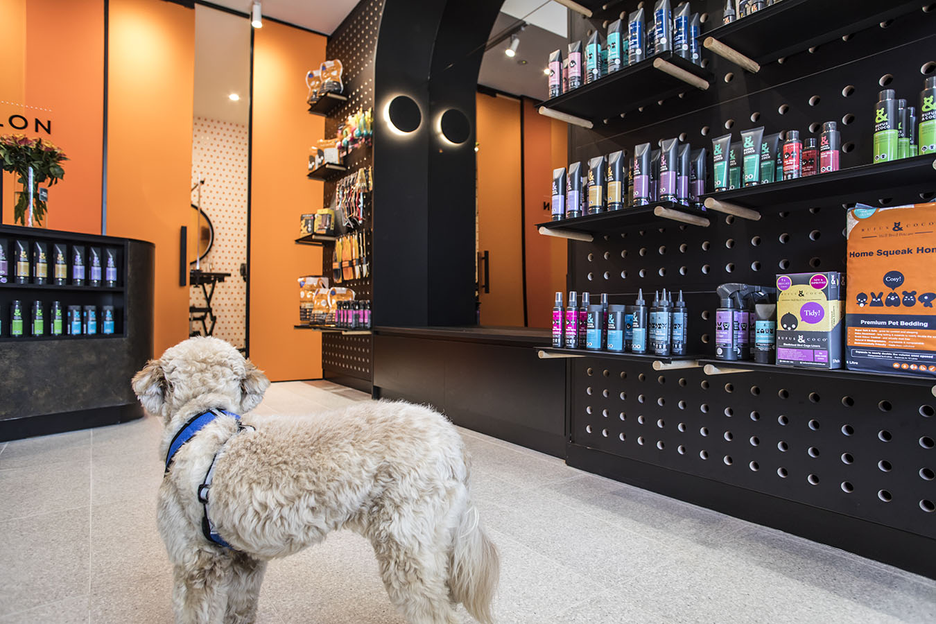 Which kind of dog grooming business should I open?