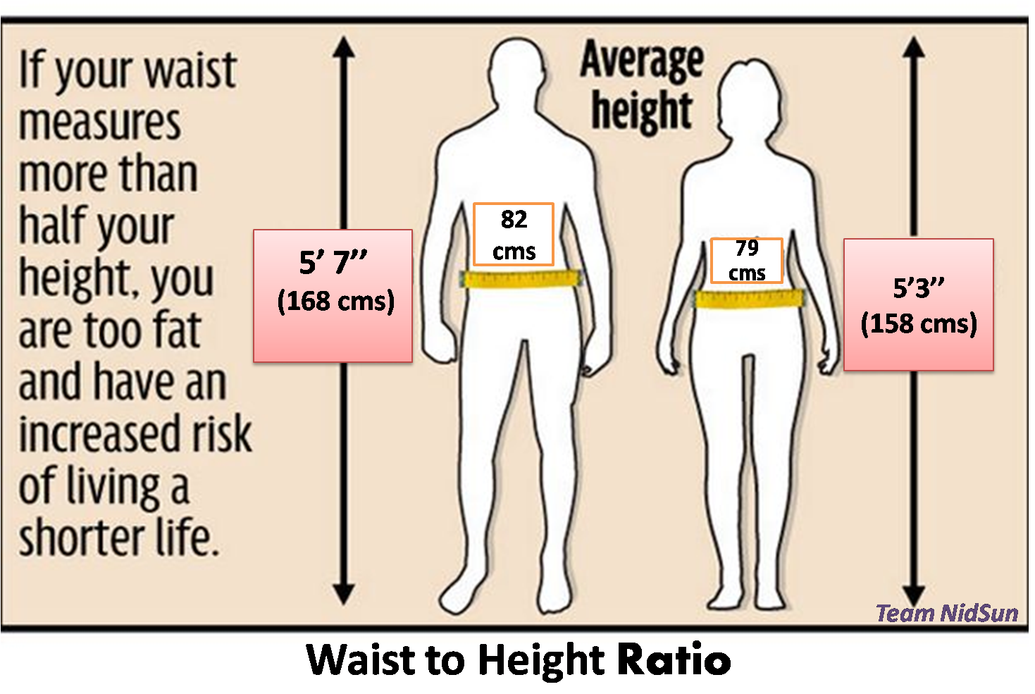Health Corner: Berapa Berat Badan Sebaiknya? 