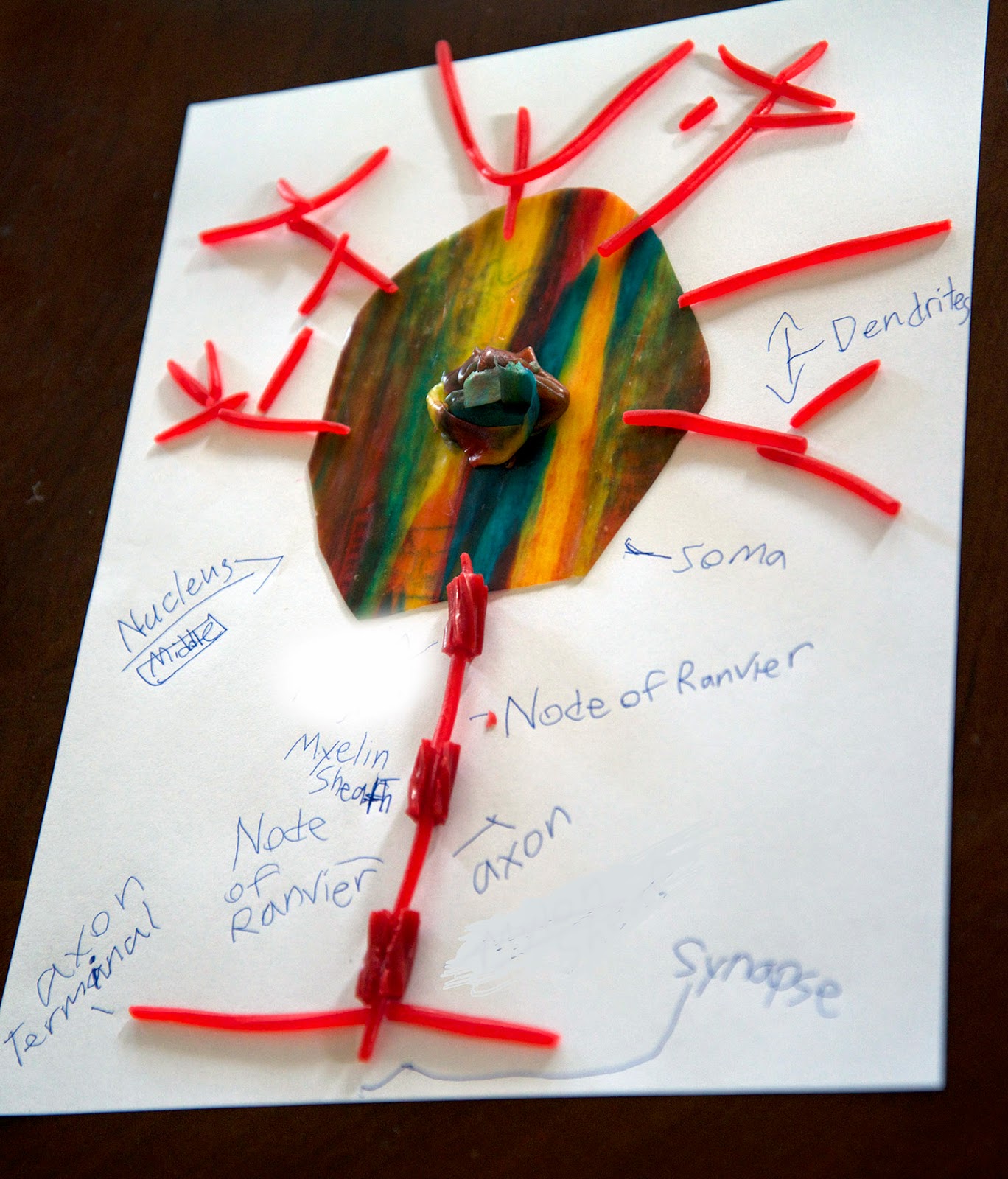 A school of fish Neuron Models with licorice and fruit leather, and