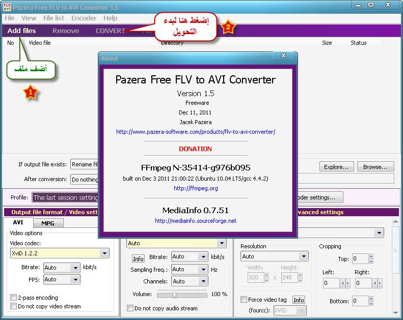 flv to avi converter portable