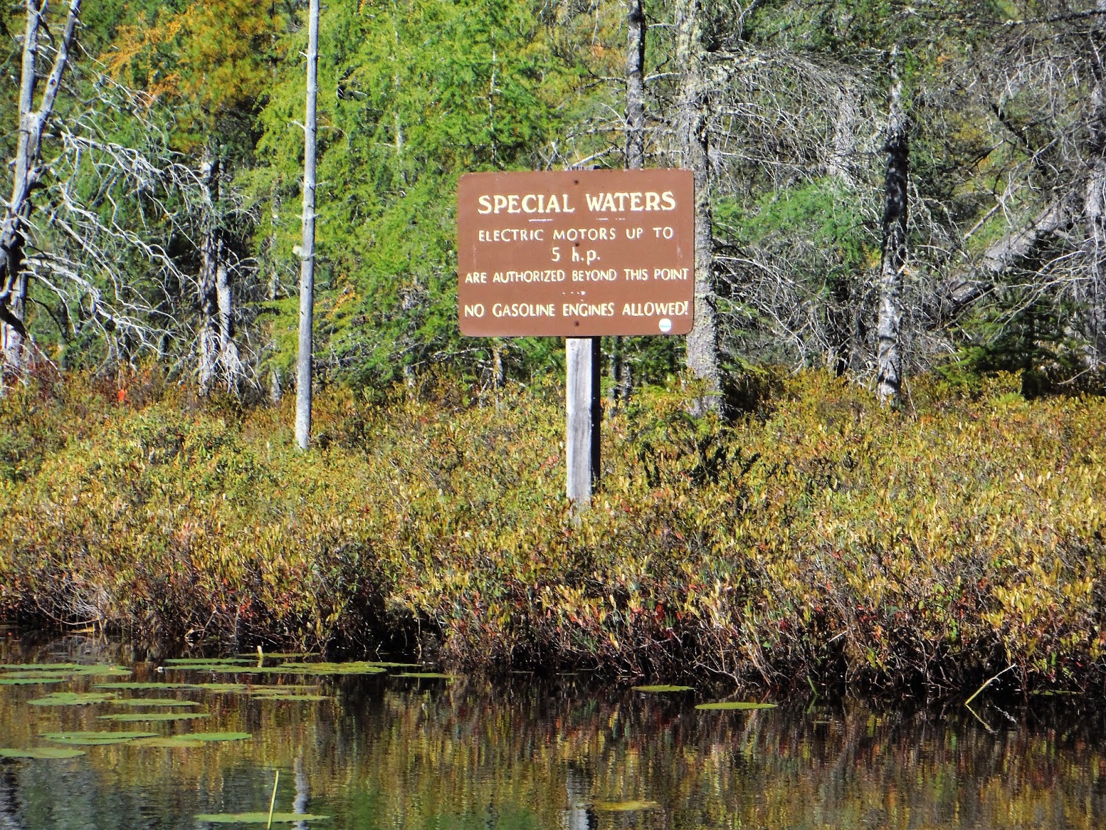 FLOODWOOD PONDS & FISH CREEK canoeing, hiking and camping
