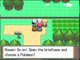 pokemon platinum download rom pokemon platinum download rom