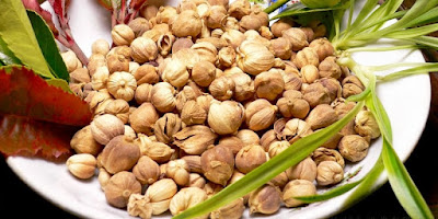 Manfaat Kapulaga bagi Kesehatan Manfaat Kapulaga bagi Kesehatan