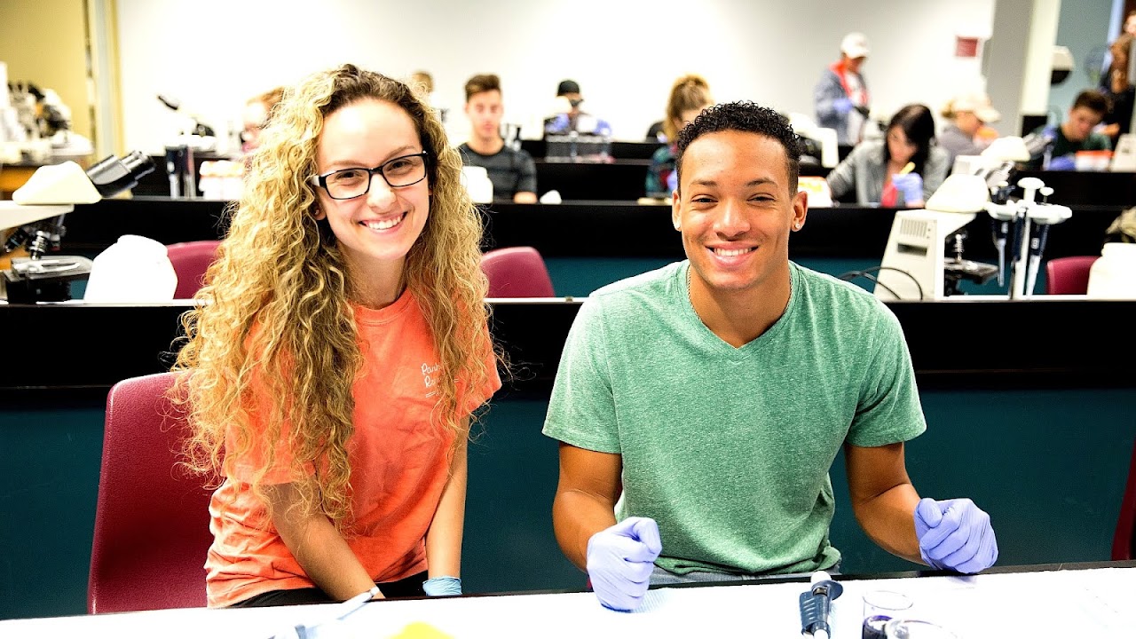 Indiana University Purdue University Indianapolis Psychology