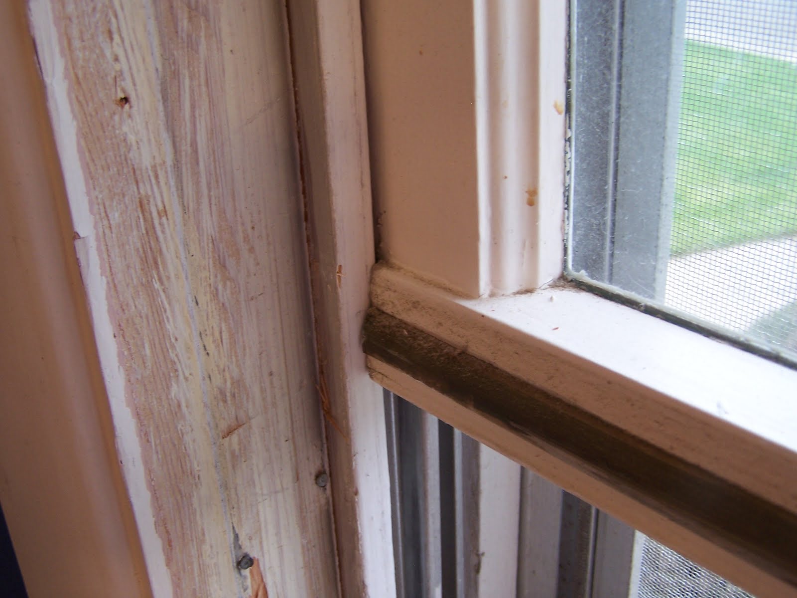 Tidbits from the life of B How to replace a doublehung wood window