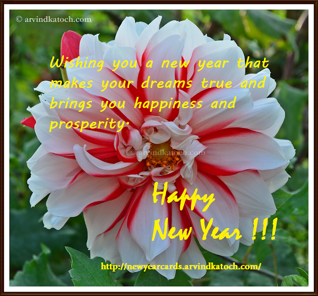 Happines, Prosperity, dreams, New Year Card, Flower Card, HD Card 