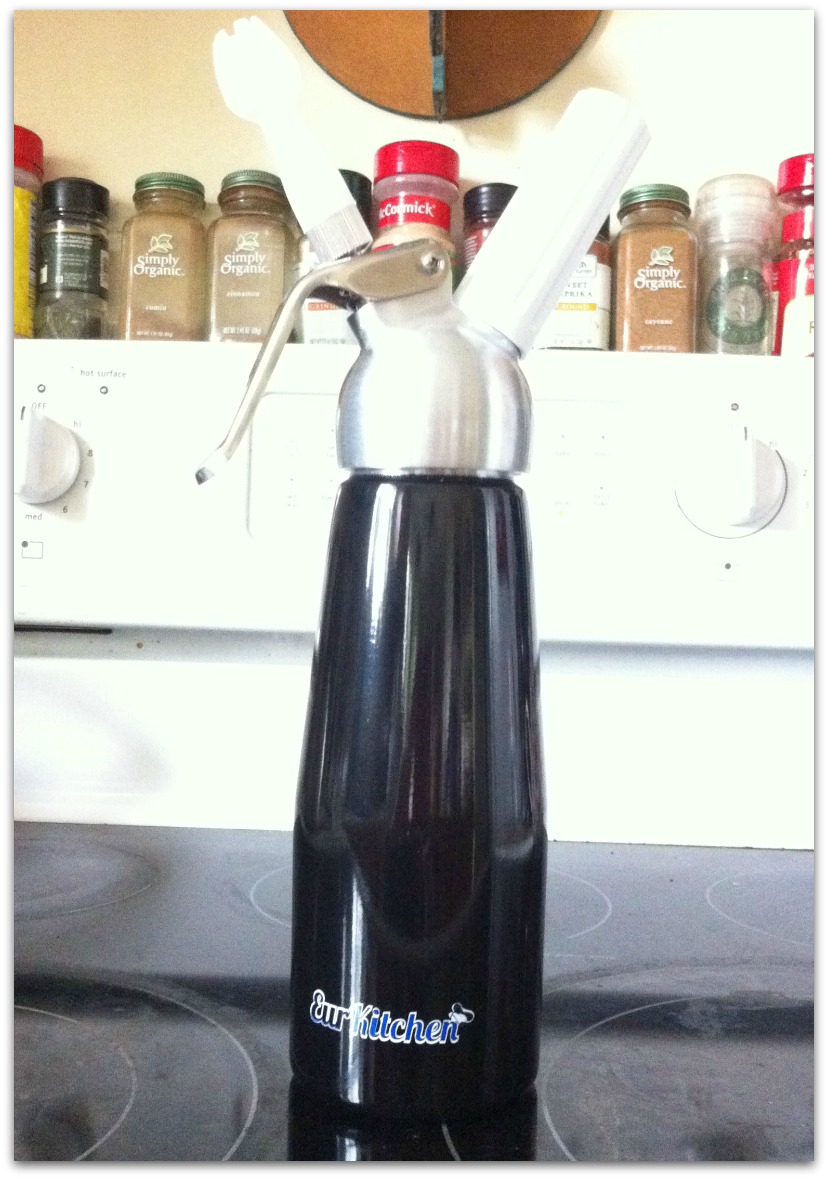 Pop Culture Shock Professional Grade Artisanal Whipped Cream Dispenser by EurKitchen Review