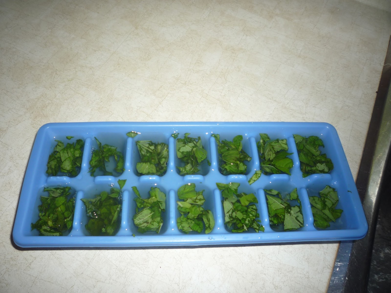 Country Living Basil Ice Cubes