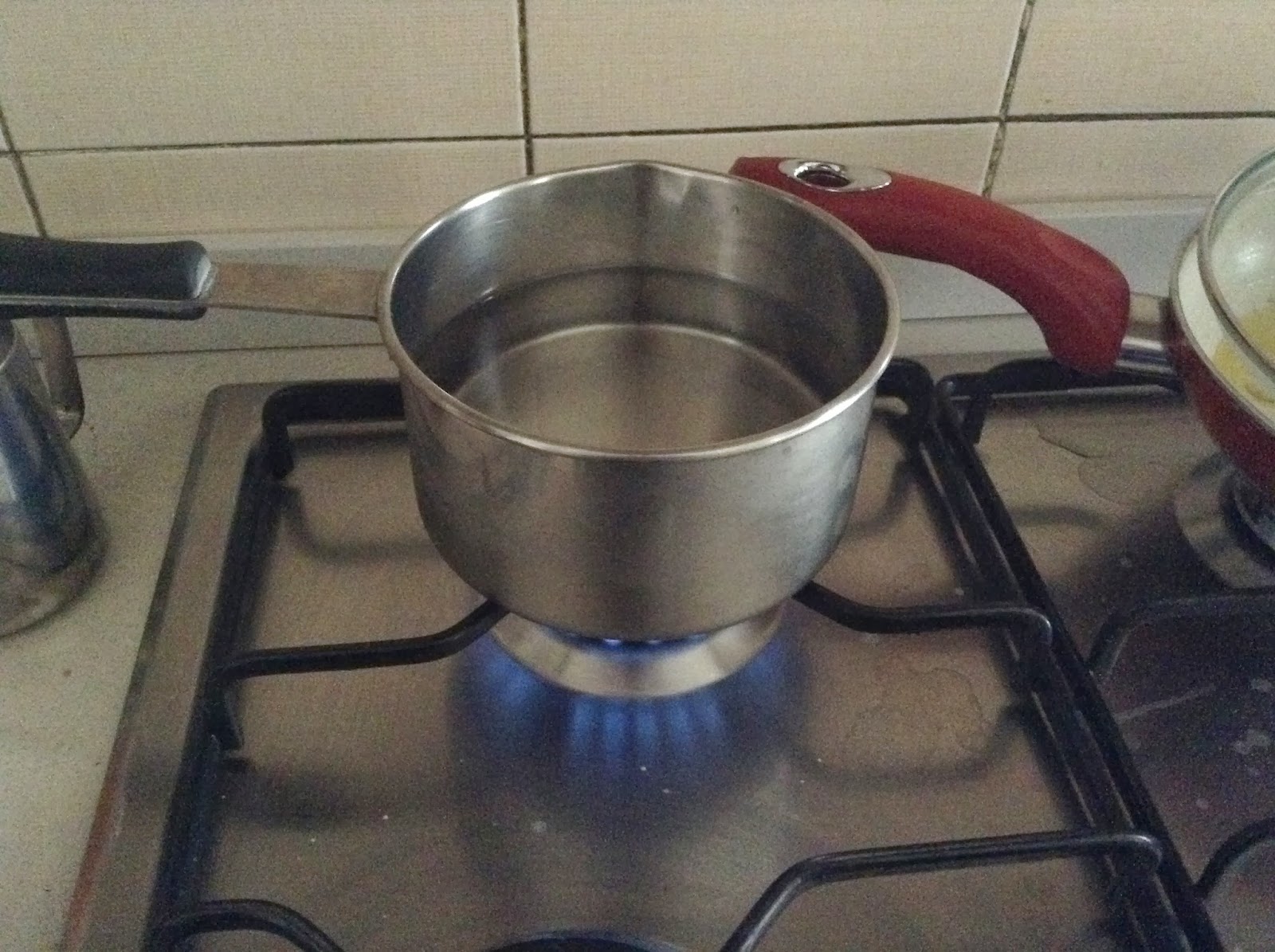 A spasso con Eva Latte detergente naturale FAI DA TE