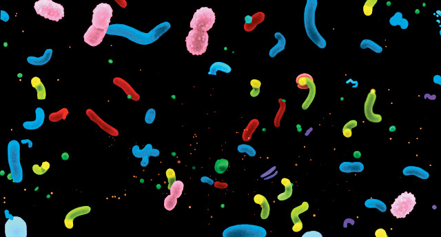 Genetic study reveals vast diversity of ocean microbes