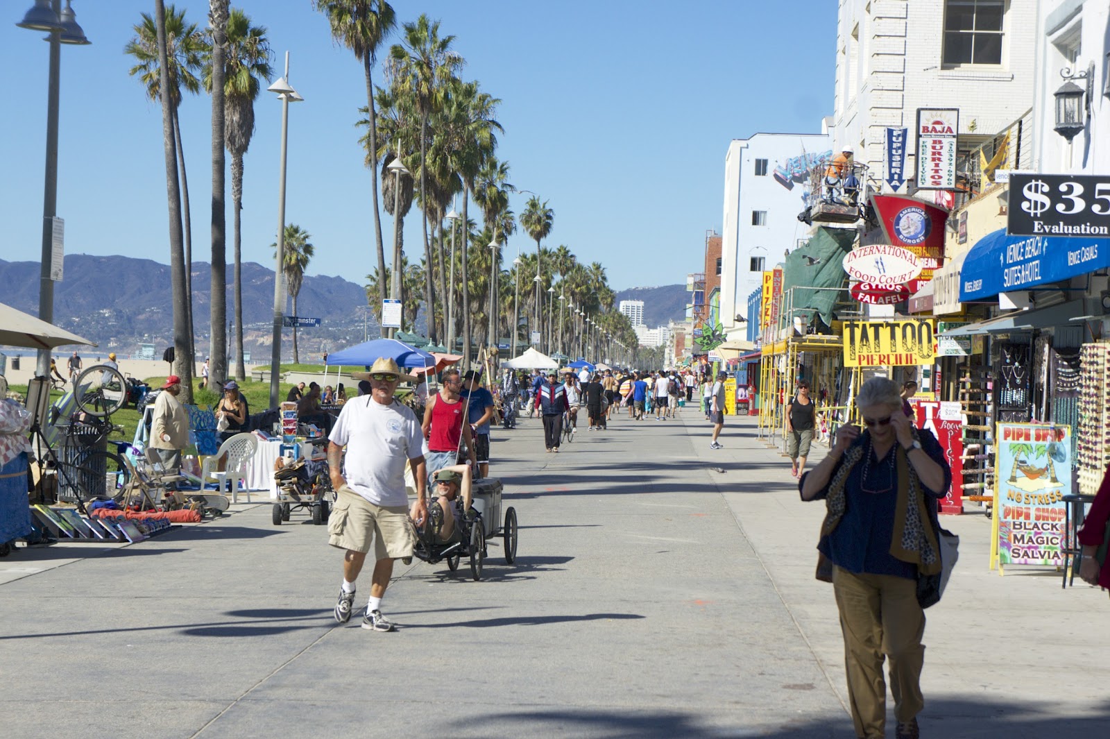 Cognitive Processing Venice Beach Ocean Front Walk The Famous Venice Beach Ocean Front Was Exactly As Described In Travel Guides Colorful And A Bit On Hippie Side From Surf Fashion Board S
