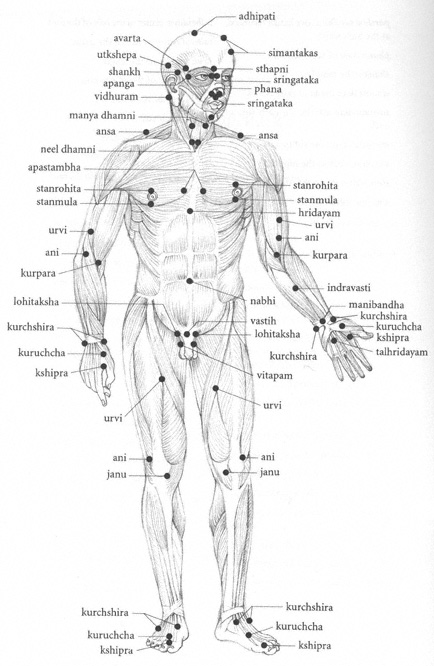 Ayurveda_heals: Ayurveda's Marma massage