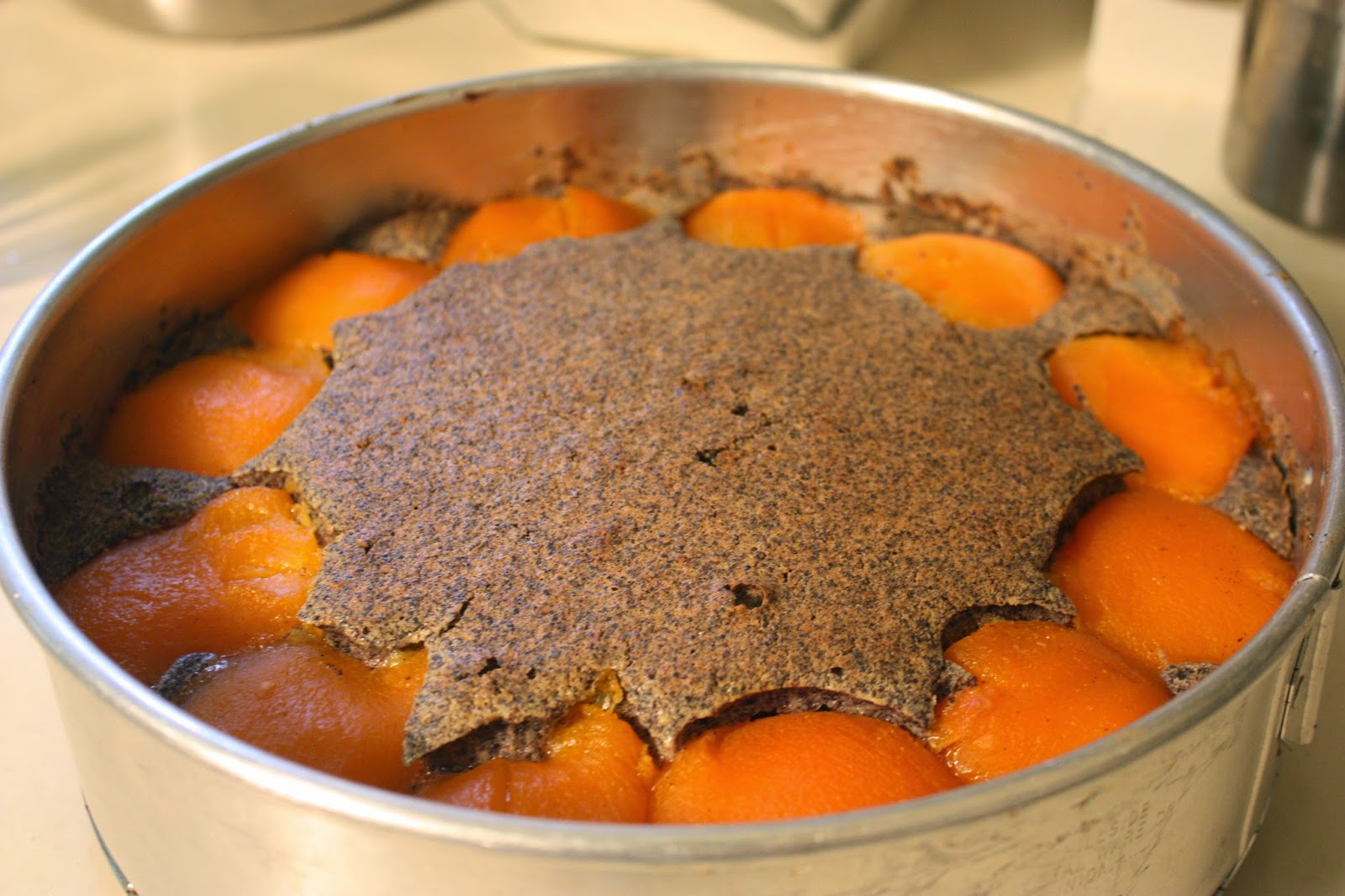 Kathleen's Baking Adventures Poppy Seed Torte TWD Baking with Julia