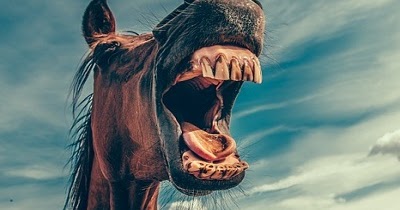 Frasi Divertenti Sul Giovedi Aforismi E Battute Per Facebook Whatsapp E Gli Amici Linkuaggio