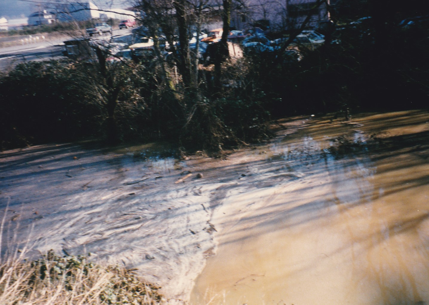 PlacesPages 1996 Flooding Aftermath in Rainier, Oregon