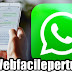 WhatsApp - Come nascondere il nostro stato di WhatsApp a persone specifiche