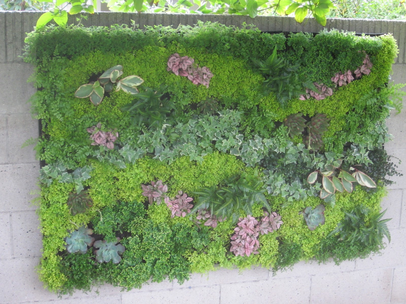 Another Green World Vertical Garden Utilizing Bright Green USA System