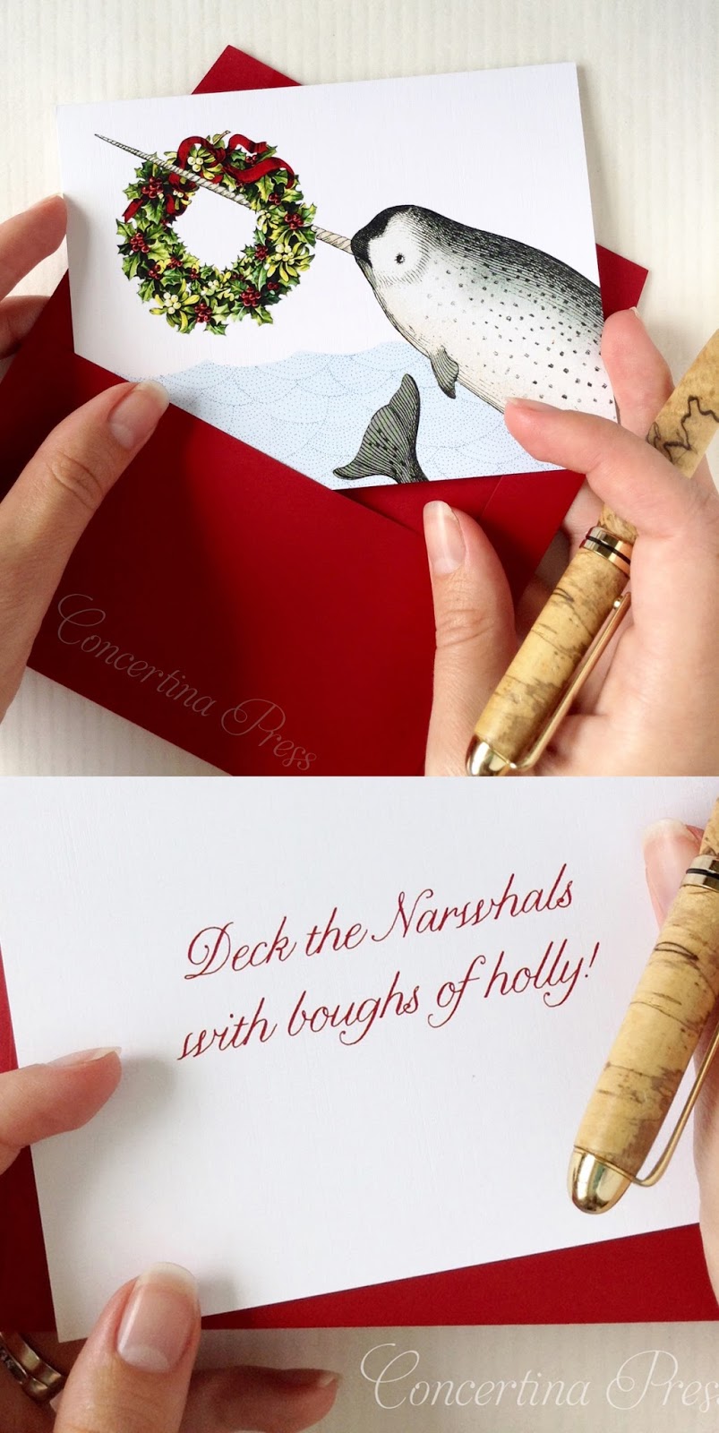 Narwhal Christmas Card set from Concertina Press