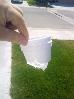 plastic
