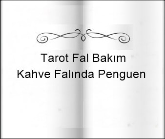 Kahve Falinda Penguen Gizli Ilim Ve Insan