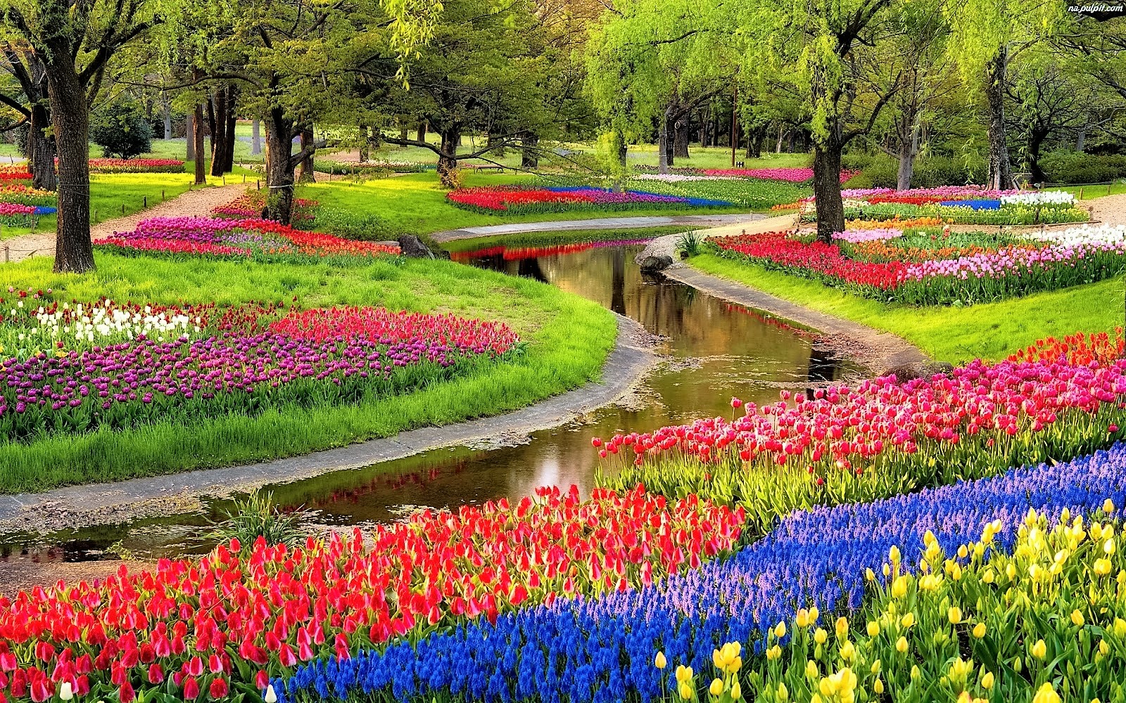 5 five 5 keukenhof gardens lisse netherlands 5 five 5 keukenhof gardens lisse netherlands