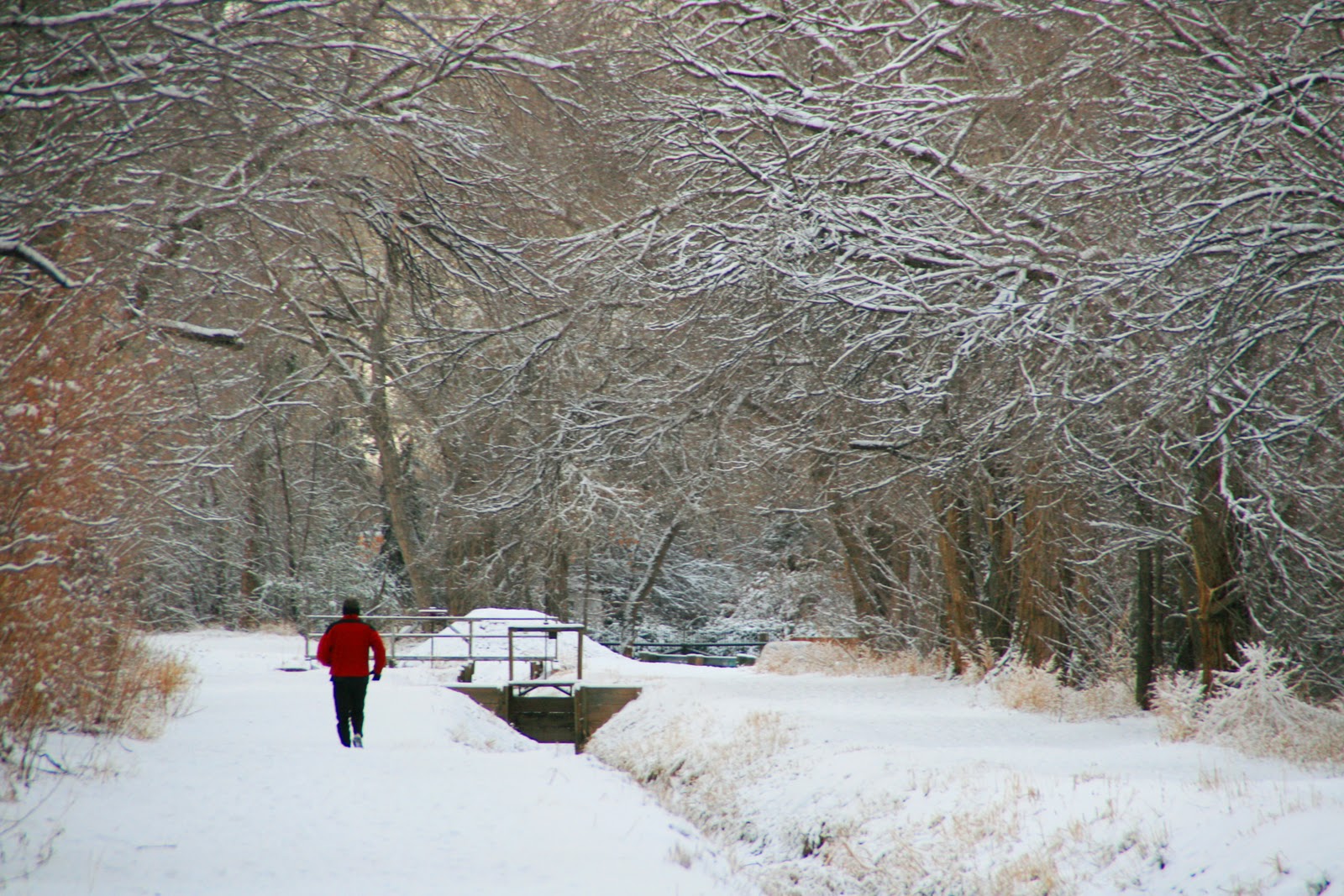 Miriam Hall Photography The North Valley of Albuquerque in Winter