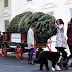 Llega a la Casa Blanca el árbol de Navidad