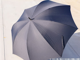 フルカーボンの傘　オールカーボンの傘